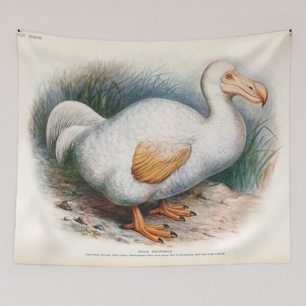 Item preview, Vintage bird plate - extinct birds - Didus solitarius designed and sold by Gardenlibrary.
