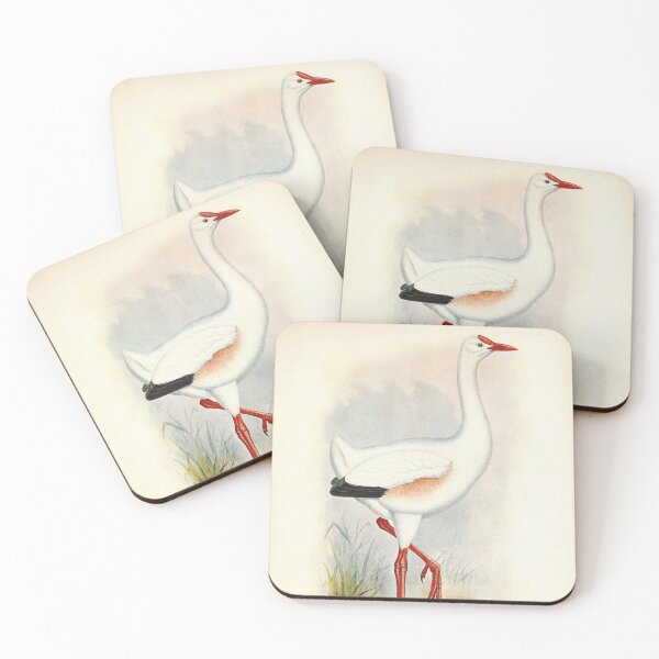 Item preview, Vintage bird plate - extinct birds - Leguatia gigantea designed and sold by Gardenlibrary.