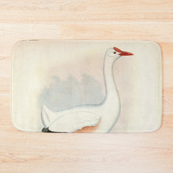 Item preview, Vintage bird plate - extinct birds - Leguatia gigantea designed and sold by Gardenlibrary.