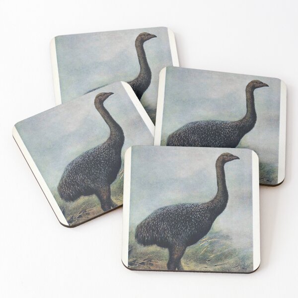 Item preview, Vintage bird plate - extinct birds - Megalapteryx huttoni designed and sold by Gardenlibrary.
