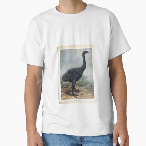 Item preview, Vintage bird plate - extinct birds - Megalapteryx huttoni designed and sold by Gardenlibrary.