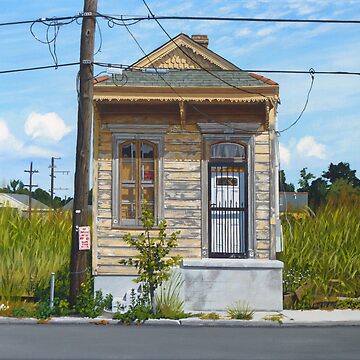 Artwork thumbnail, Shotgun House by michaelward