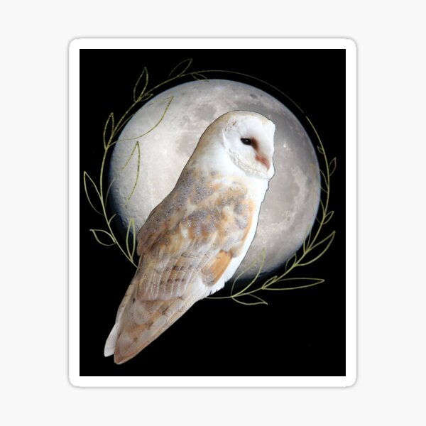 Item preview, Barn Owl by the moon designed and sold by Moana Matron Designs.