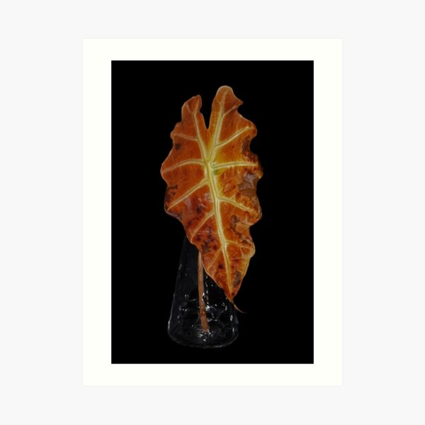 Beauty in death Art Print