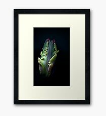 Just one Framed Print