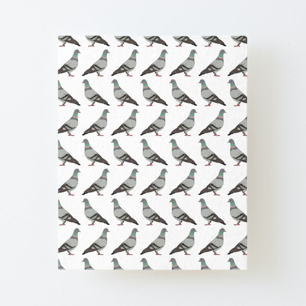 pigeon walk 2020, white background Canvas Mounted Print