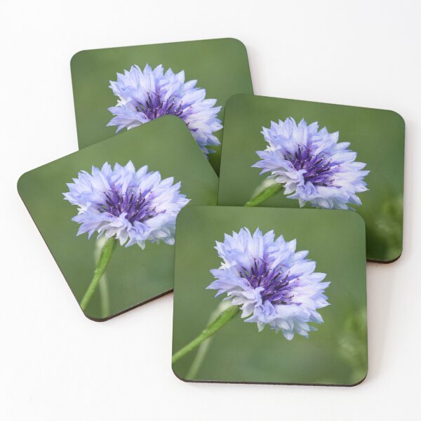 Item preview, Bachelor's button square 3 designed and sold by Jouko Lehto Photography.