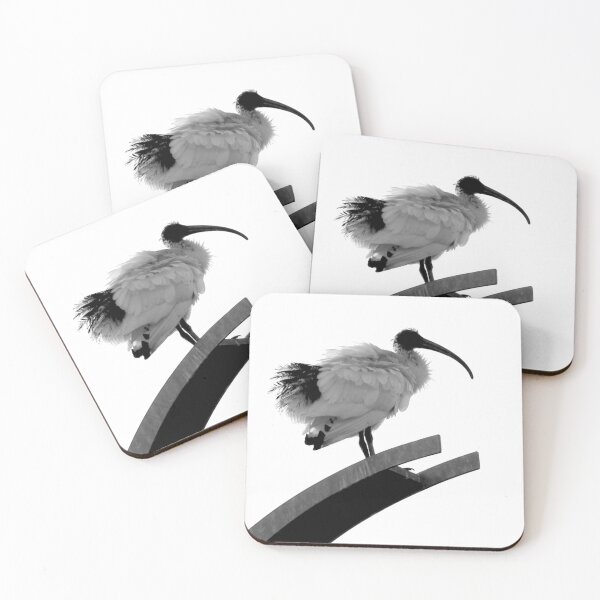 Item preview, Majestic Ibis Photography Black and White designed and sold by Digitaldingo.