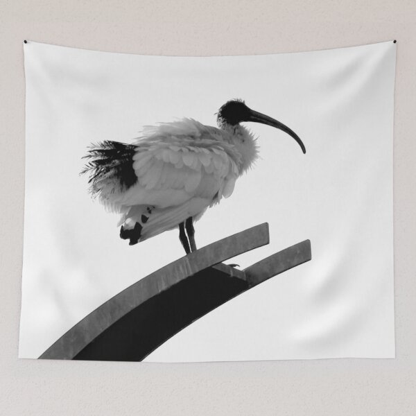 Item preview, Majestic Ibis Photography Black and White designed and sold by Digitaldingo.