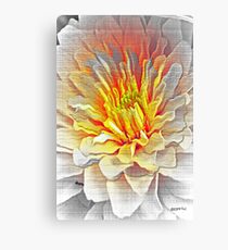 Dahlia Flower from Dark to Bright Canvas Print