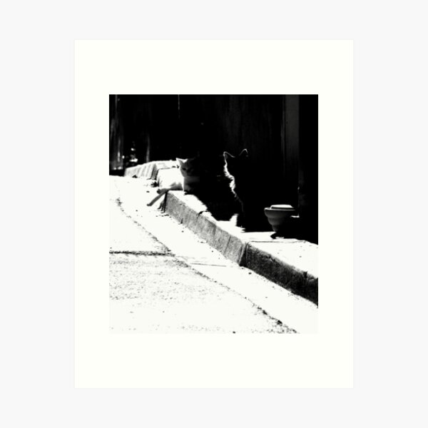 Black and white.... Art Print
