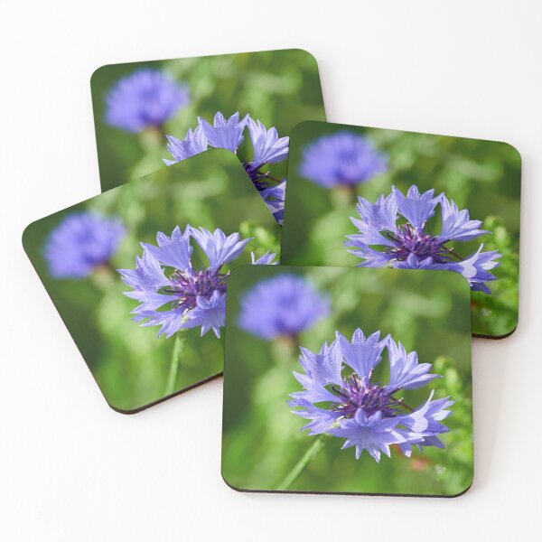Item preview, Morning dew on a Bachelor's button 4 designed and sold by Jouko Lehto Photography.