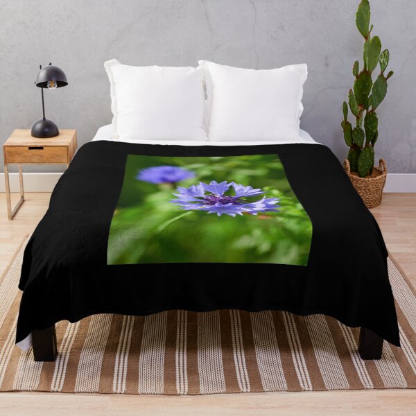 Item preview, Morning dew on a Bachelor's button 4 designed and sold by Jouko Lehto Photography.