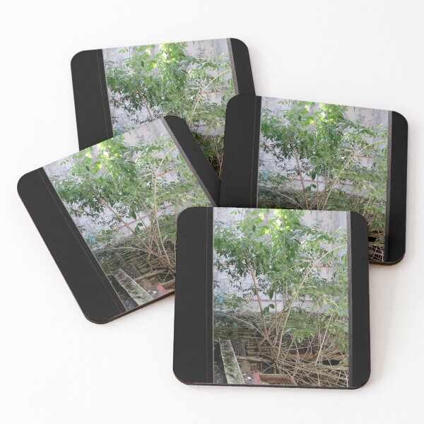 Item preview, Urban Takeback - Nature Returns - RAF Nocton Hall Hospital, Lincoln, Lincolnshire, England [61] designed and sold by BeautonFashions.
