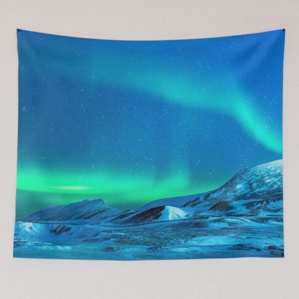 Item preview, Northern lights Alaska, Aurora borealis winter green blue sky shiny bestseller tapestry designed and sold by August-E.