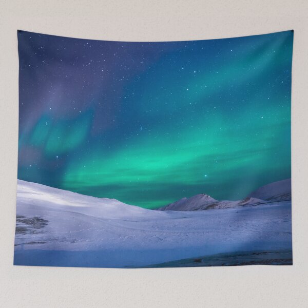 Item preview, Northern lights Alaska, Aurora borealis winter snow green blue sky shiny bestseller tapestry designed and sold by August-E.