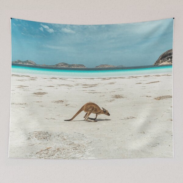 Item preview, Baby kangaroo designed and sold by Phil Studios.
