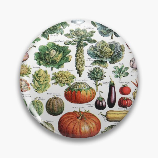 Item preview, Adolphe Millot - Legumes et plantes potageres - Vintage french biology illustration designed and sold by Gardenlibrary.