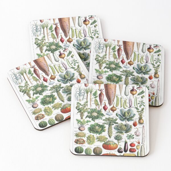 Item preview, Adolphe Millot - Legumes et plantes potageres - Vintage french biology illustration designed and sold by Gardenlibrary.