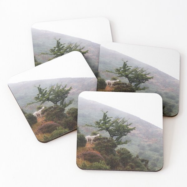 Item preview, LONG MYND Carding Mill Valley CHURCH STRETTON Shropshire designed and sold by a-little-ink.
