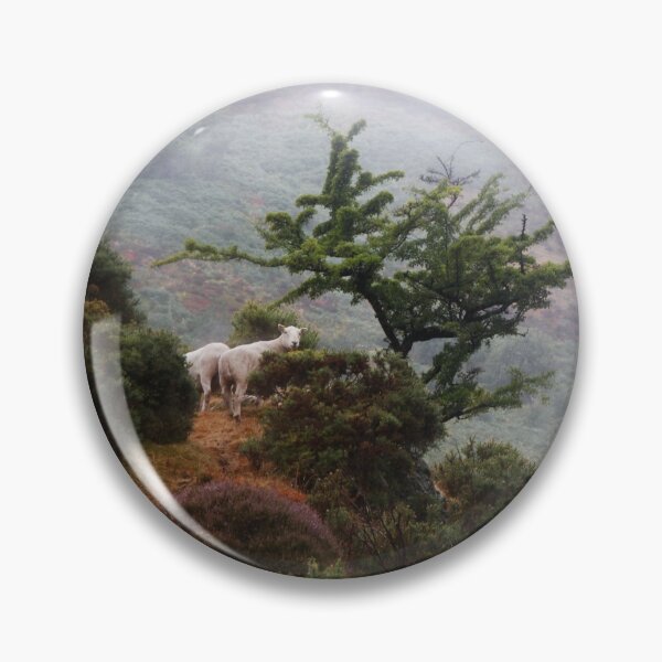 Item preview, LONG MYND Carding Mill Valley CHURCH STRETTON Shropshire designed and sold by a-little-ink.