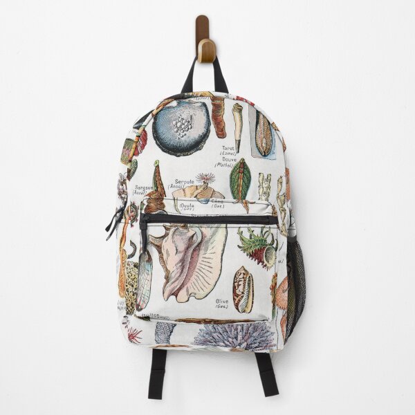 Item preview, Adolphe Millot - Mollusques - Vintage french zoology illustration designed and sold by Gardenlibrary.