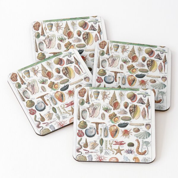 Item preview, Adolphe Millot - Mollusques - Vintage french zoology illustration designed and sold by Gardenlibrary.