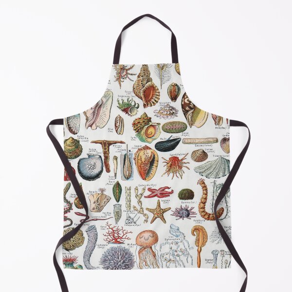 Item preview, Adolphe Millot - Mollusques - Vintage french zoology illustration designed and sold by Gardenlibrary.