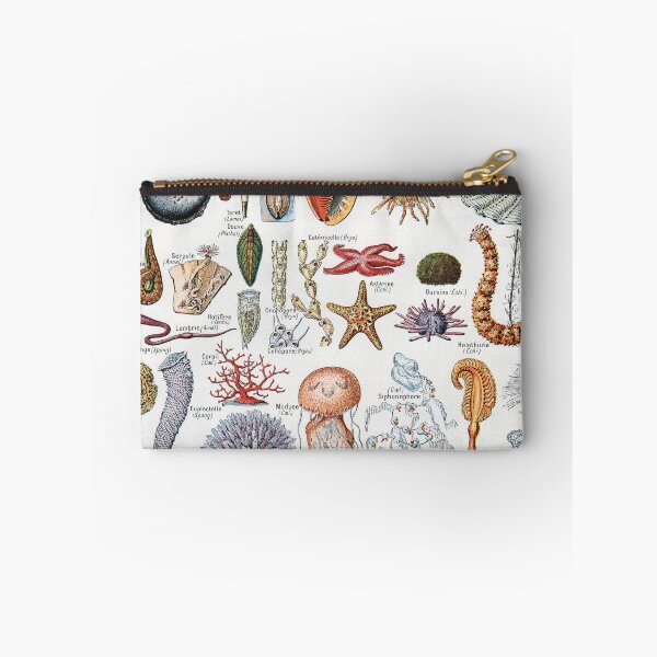 Item preview, Adolphe Millot - Mollusques - Vintage french zoology illustration designed and sold by Gardenlibrary.
