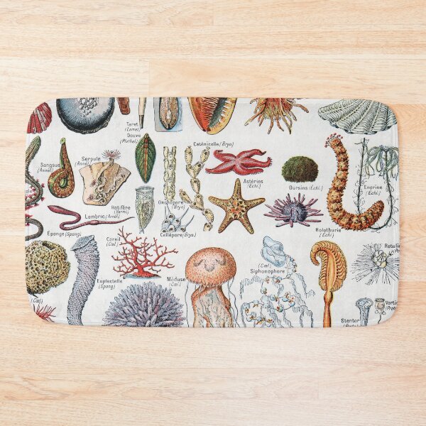 Item preview, Adolphe Millot - Mollusques - Vintage french zoology illustration designed and sold by Gardenlibrary.