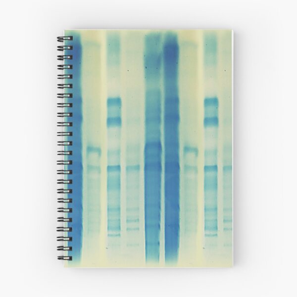 Item preview, Copy of Polyacrylamide gel electrophoresis designed and sold by Gill-Goo.