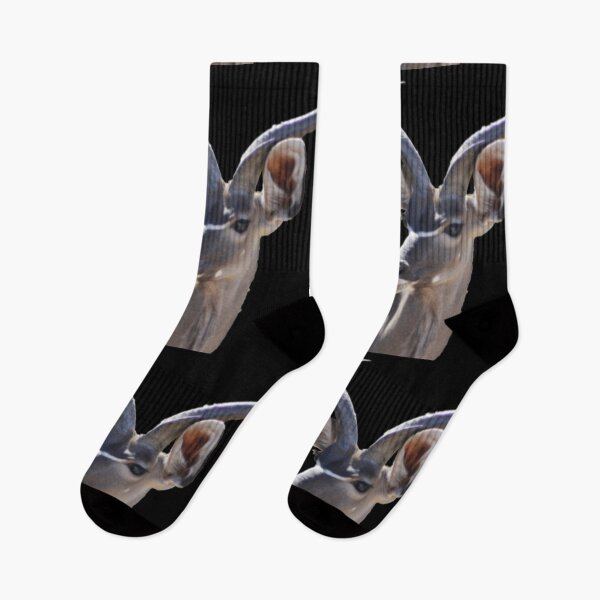 Item preview, Kudu - A beautiful buck! designed and sold by TeeZoneZtore.