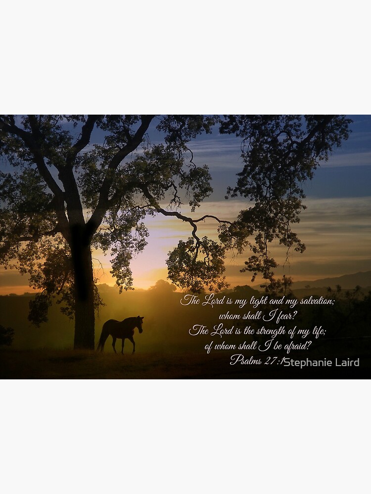 "Horse and Oak Tree Bible Verse Psalms 271 The Lord is My Light