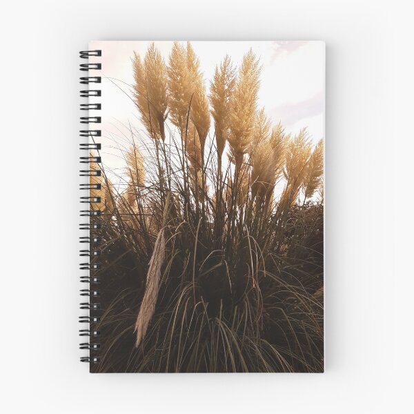 Item preview, Pampas grasses designed and sold by Emma  Amies.