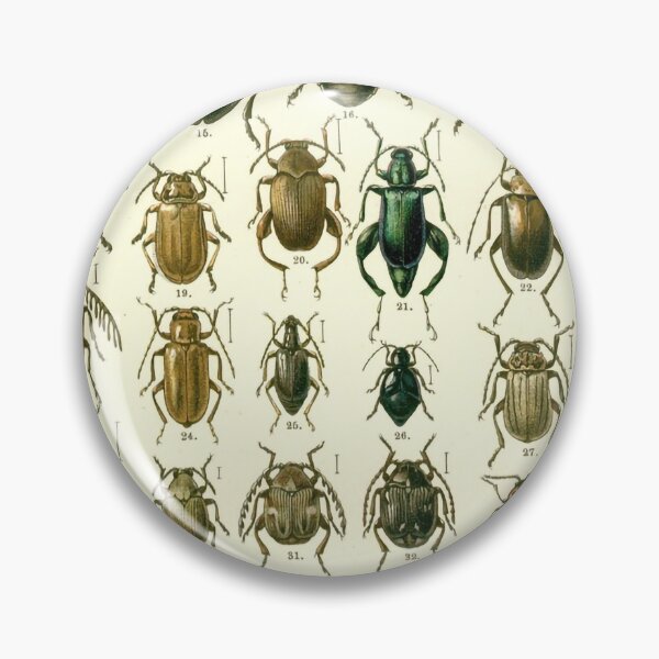 Item preview, Bog Beetles designed and sold by Salocin.