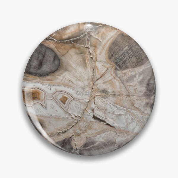 Item preview, Petrified wood designed and sold by Roger Porter Photography.