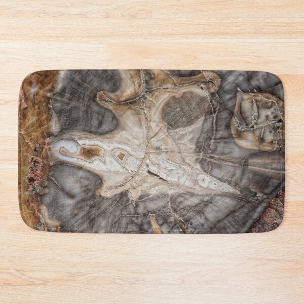 Item preview, Petrified wood designed and sold by Roger Porter Photography.