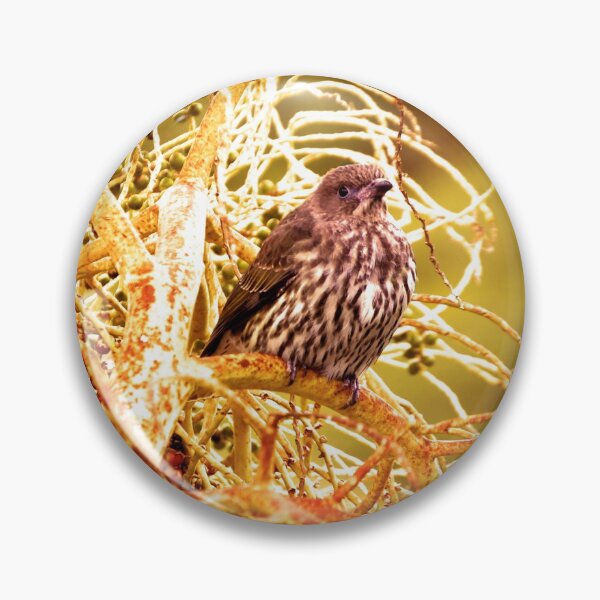 Item preview, Little Bird In the Bushes Photography  designed and sold by Digitaldingo.