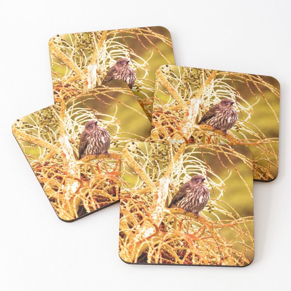 Item preview, Little Bird In the Bushes Photography  designed and sold by Digitaldingo.