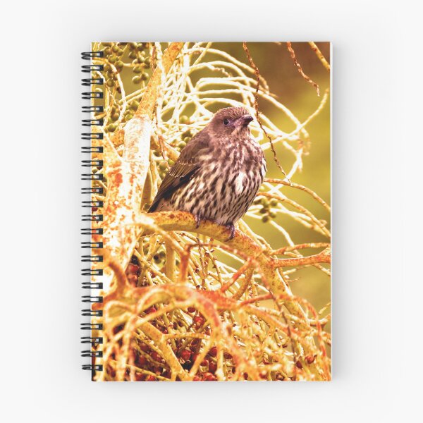 Item preview, Little Bird In the Bushes Photography  designed and sold by Digitaldingo.