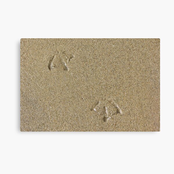 Item preview, Footprints in the Sand designed and sold by Lauren McGregor.