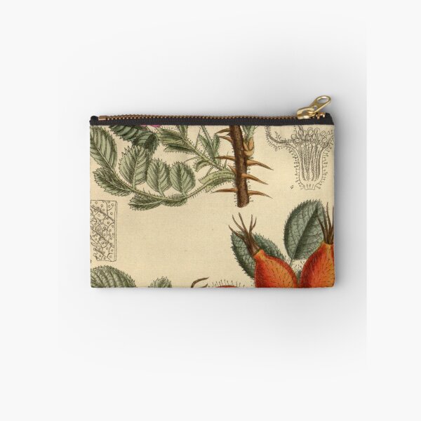 Item preview, Rosa glutinosa dalmatica 145 8826 designed and sold by EsotericBotanic.