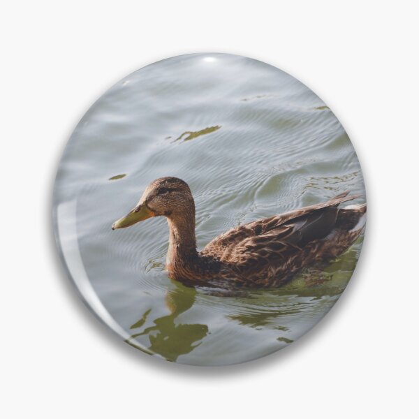 Item preview, Duck designed and sold by anstey.