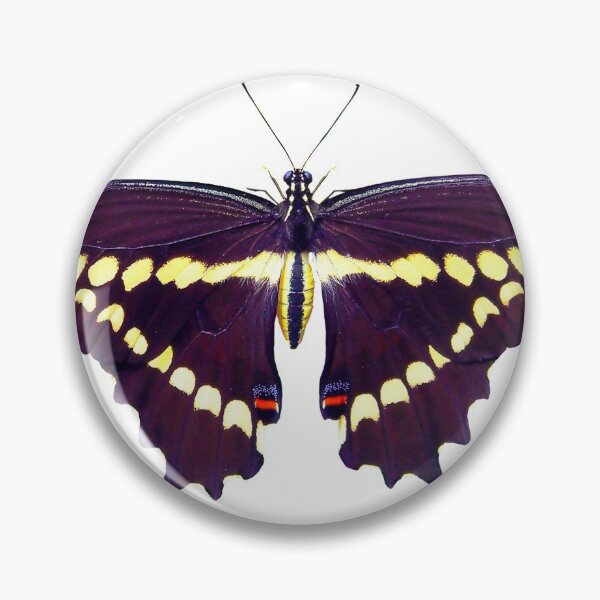 Item preview, Nature animals butterfly insect flying wing designed and sold by greengoodnich.