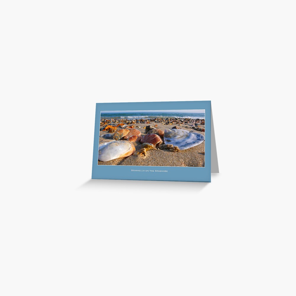 Seashells on the Seashore Greeting Card