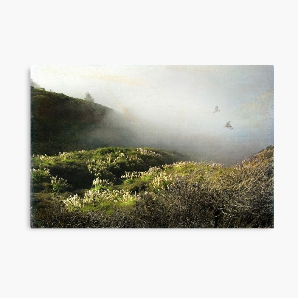 Together our spirits soar Canvas Print