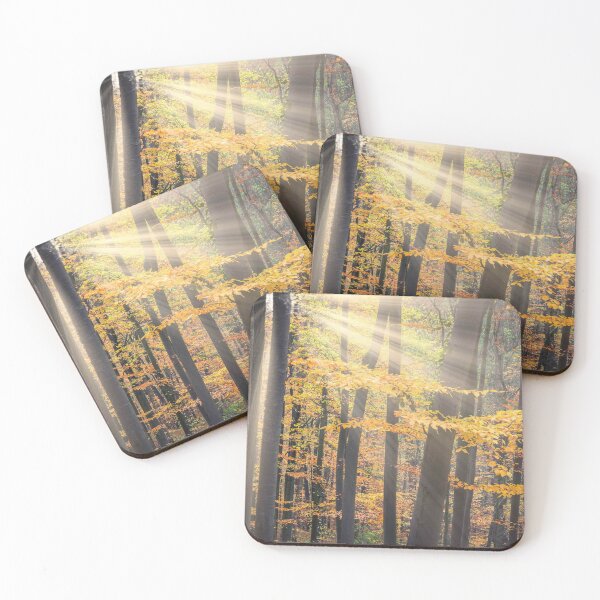 Item preview, Sun in the beech forest designed and sold by PhotoLux.