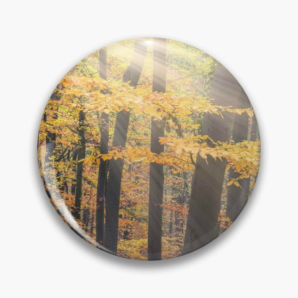 Item preview, Sun in the beech forest designed and sold by PhotoLux.