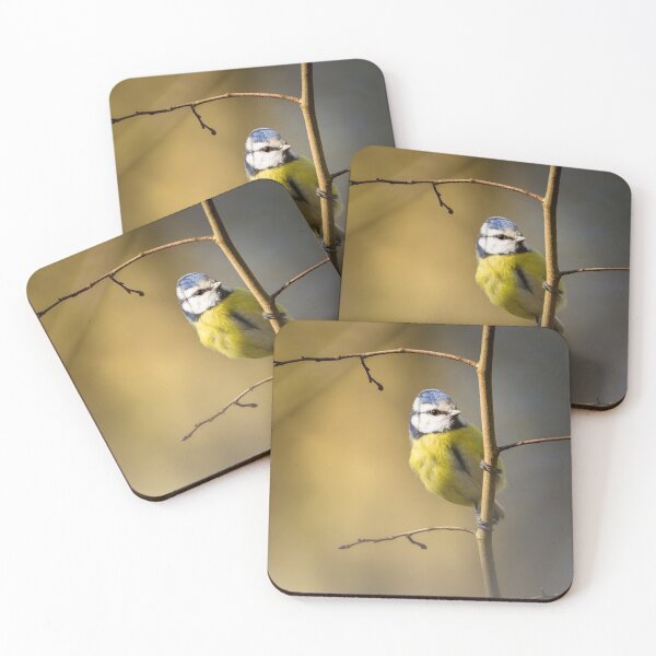 Item preview, Blue tit on the branch designed and sold by PhotoLux.