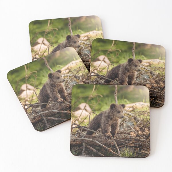 Item preview, Cute Baby Bear in Woods designed and sold by mwagie.